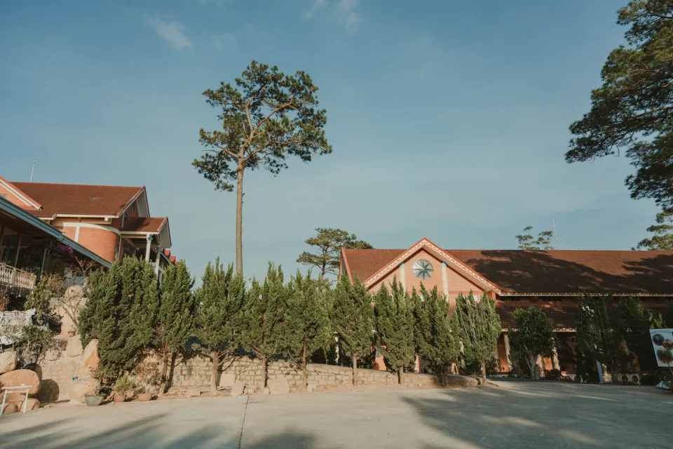 Hình ảnh tại Lê Thị Hồng Sen 1